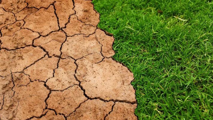 Omar Farías Luces: Cómo influye el cambio climático en la ganadería