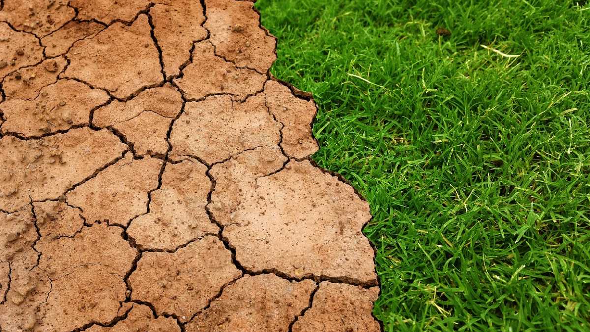 Omar Farías Luces: Cómo influye el cambio climático en la ganadería