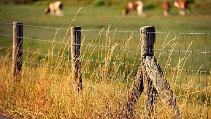 ¿Cuál es el secreto de una cerca indestructible para tu finca?
