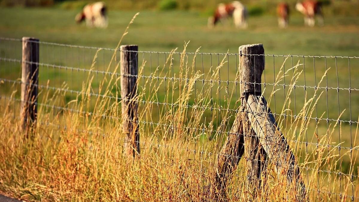 ¿Cuál es el secreto de una cerca indestructible para tu finca?