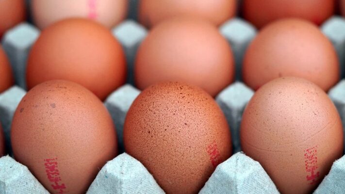 La producción de huevos como motor de la economía